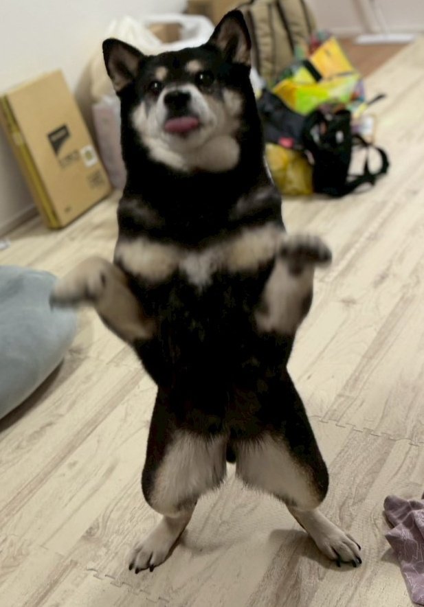 ドウラク@自由に生きるECセラー tweet media