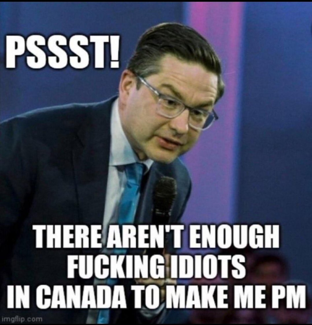 Ares 🇨🇦 tweet media