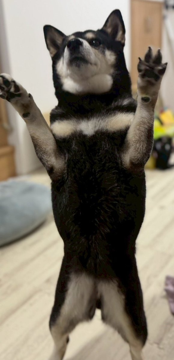 ドウラク@自由に生きるECセラー tweet media