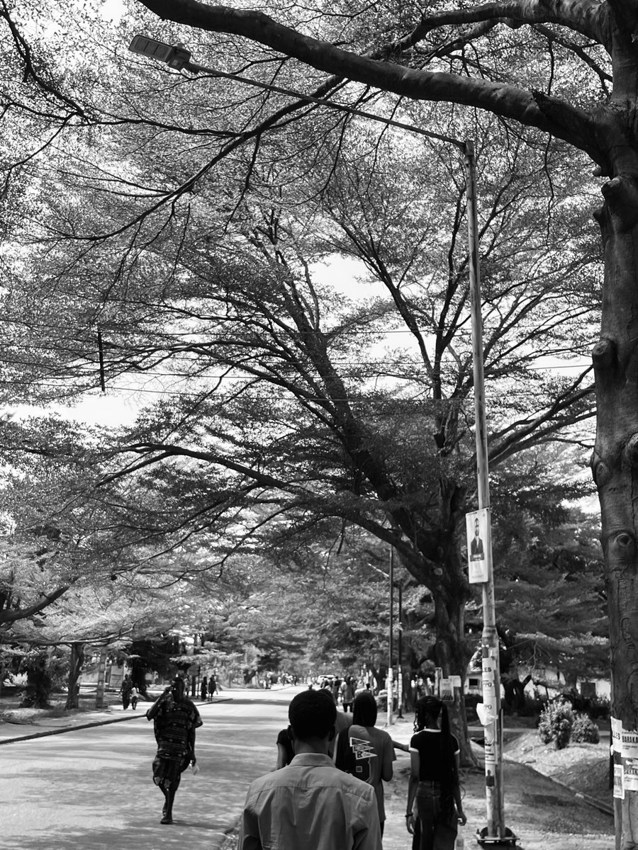 ◉⁠‿⁠◉ tweet media