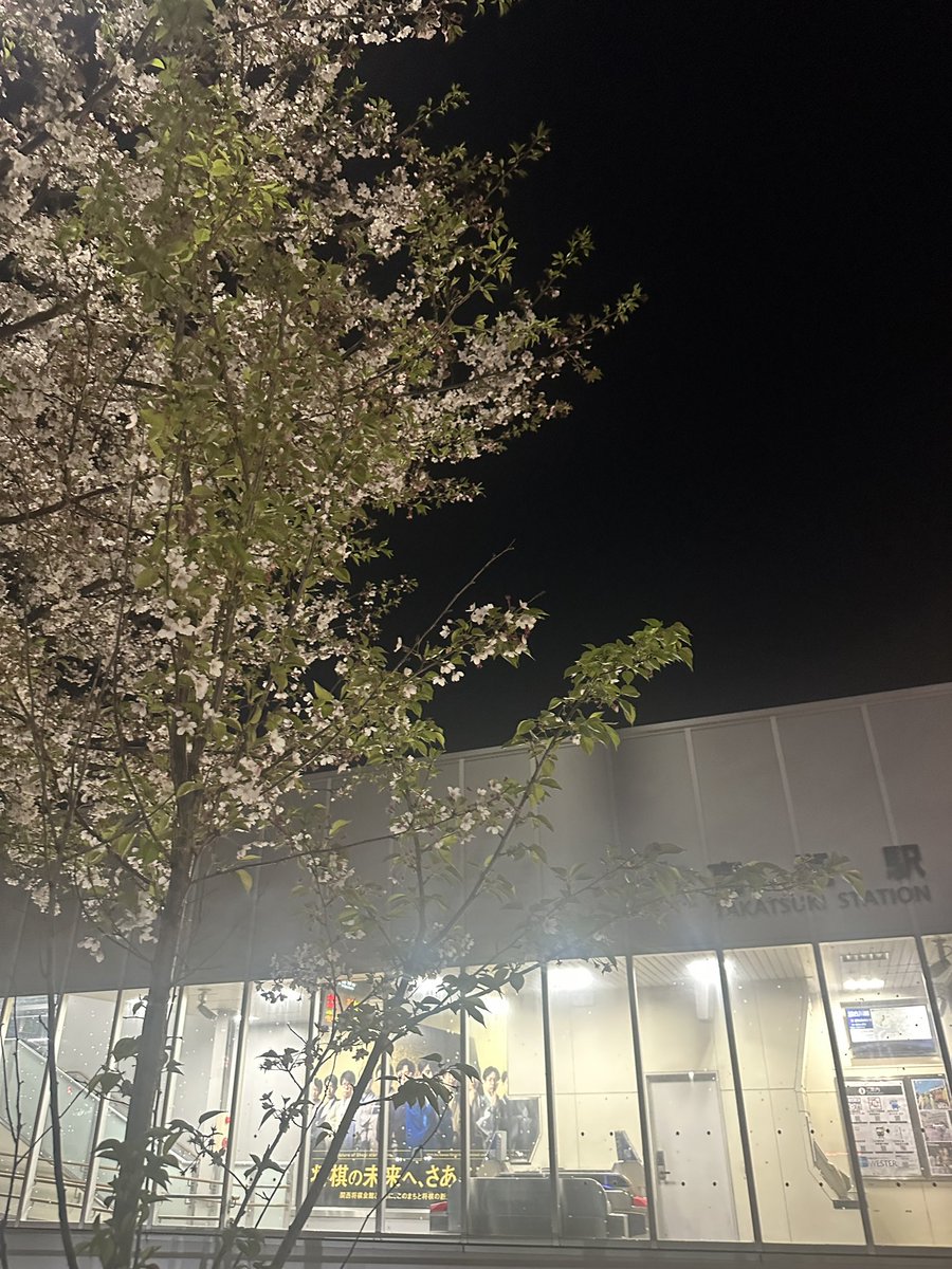 taramanji@4.19東京STECHConnectTOKYO2026 tweet media