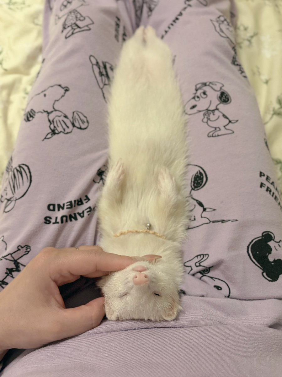 ウユちゃんの寝かしつけに成功