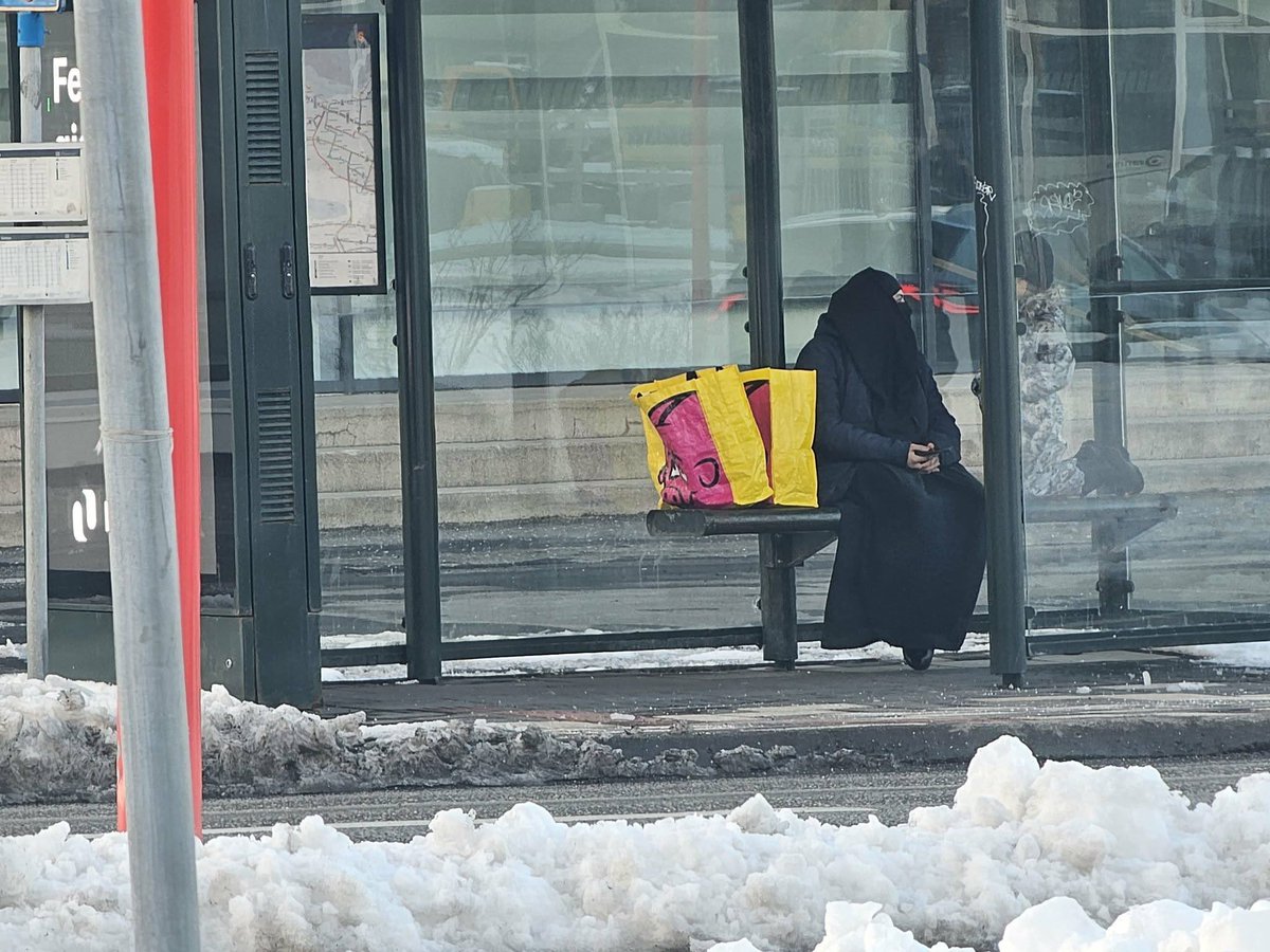 00qq22's tweet image. Icelanders think nothing serious is going on in our society, because immigration hasn't caused problems in the other Nordics.

Is that so? 🇮🇸🇳🇴🇩🇰🇸🇪

#norge #sverige #danmark #reykjavik #iceland