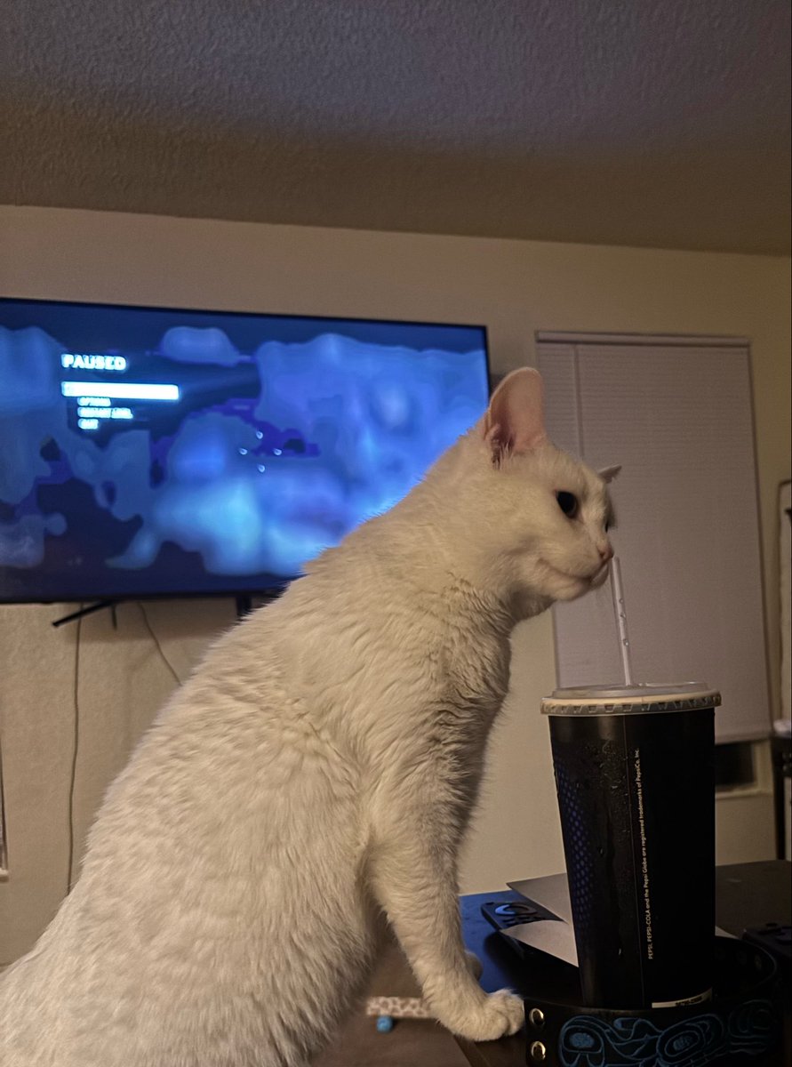 SAVIOR #1 FAN tweet media