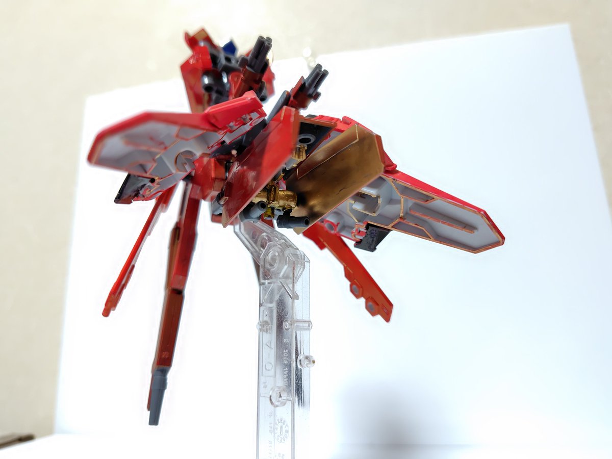 プラナリアン🦊🤪 tweet media