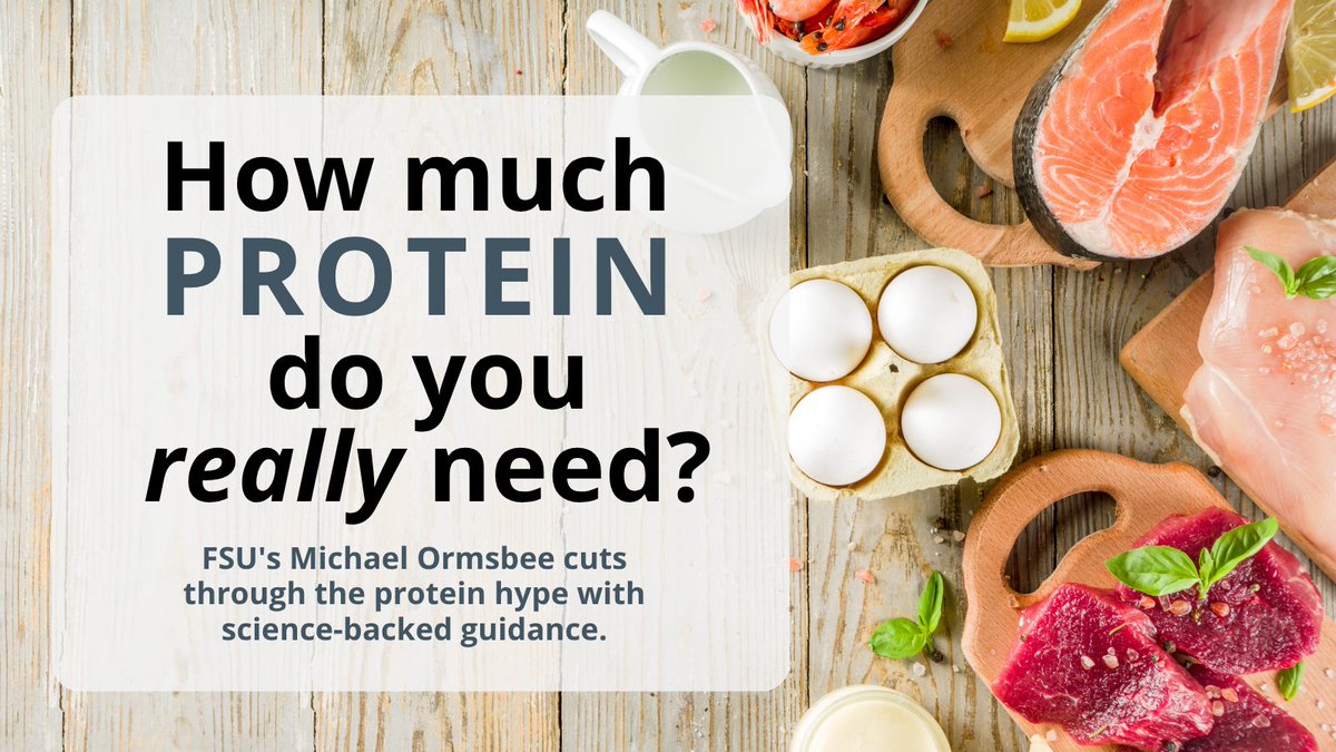 FSU_Health's tweet photo. .@MikeOrmsbee, director of the Florida State University Institute of Sports Sciences and Medicine, spoke with @Medscape alongside other experts to break down how much protein we actually need.

The breakdown covers how much protein we should aim to eat, when, and why it matters. #FSUHealth

To learn more, visit https://t.co/NGZSQzuTuG