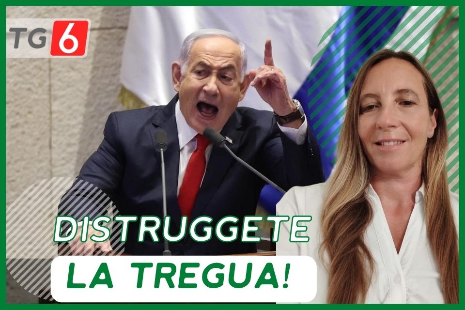Numero6O's tweet photo. TG6: DISTRUGGETE la TREGUA!
https://t.co/bUFjKvzZml https://t.co/ug2ALoN9JY