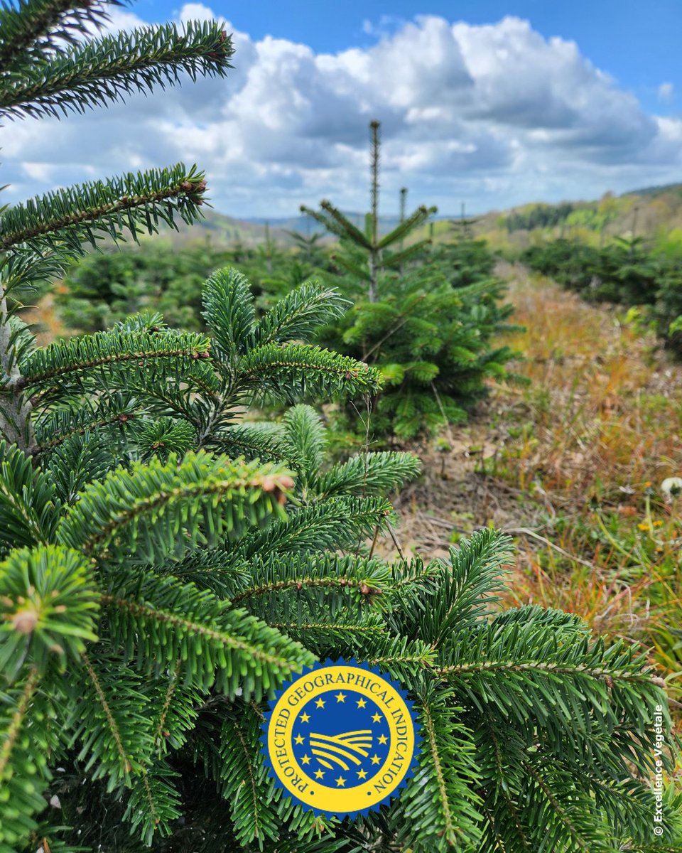 EU Agriculture🌱 tweet media