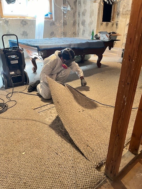 SMWesterly's tweet image. Mold &amp;amp; mildew aren’t just damaging to your health but also can ruin belongings and cause rot, decay and structural damage. If you notice mold or mildew in your home or business, don’t wait! Call us for professional Mold Inspection, Air Quality Testing or Removal Services. #mold