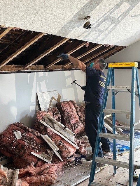 SMWesterly's tweet image. Mold &amp;amp; mildew aren’t just damaging to your health but also can ruin belongings and cause rot, decay and structural damage. If you notice mold or mildew in your home or business, don’t wait! Call us for professional Mold Inspection, Air Quality Testing or Removal Services. #mold