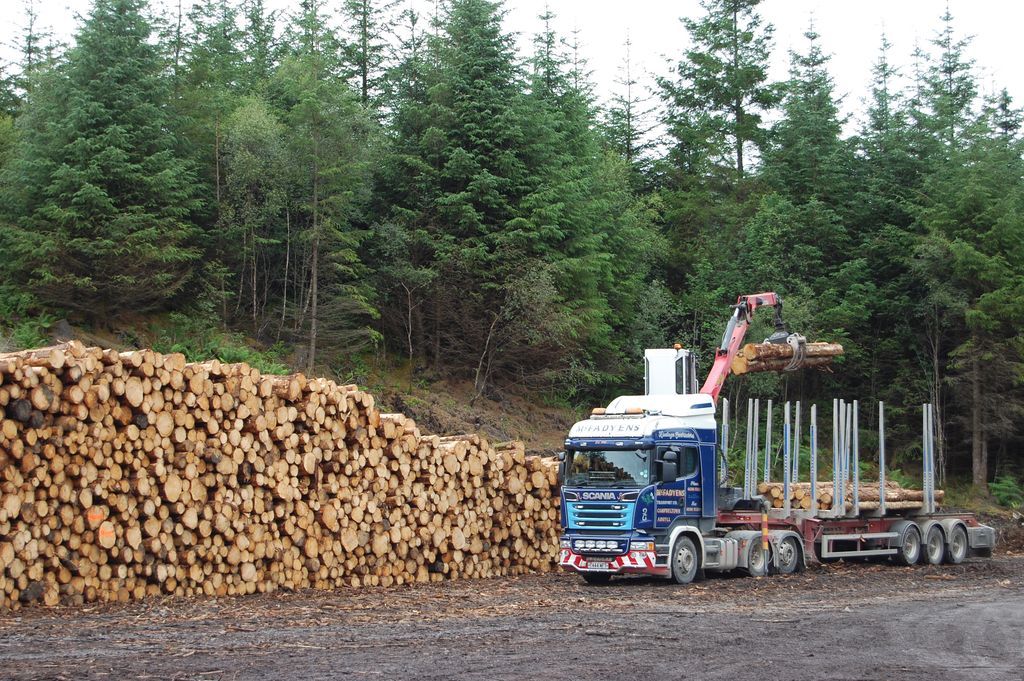 Institute of Chartered Foresters tweet media