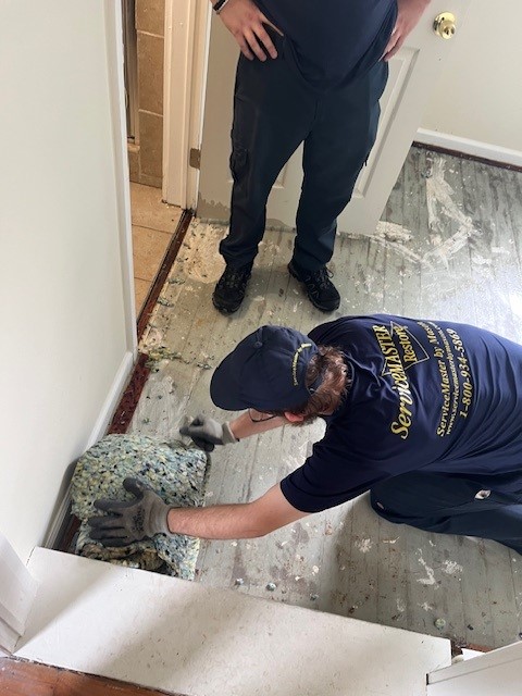 SMWesterly's tweet image. Mold &amp;amp; mildew aren’t just damaging to your health but also can ruin belongings and cause rot, decay and structural damage. If you notice mold or mildew in your home or business, don’t wait! Call us for professional Mold Inspection, Air Quality Testing or Removal Services. #mold