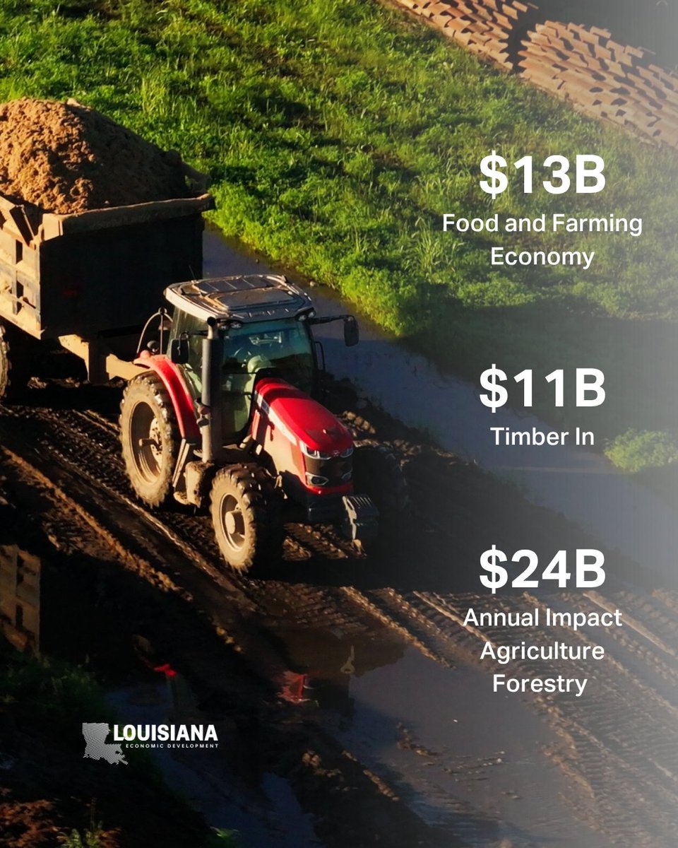 Louisiana Economic Development tweet media