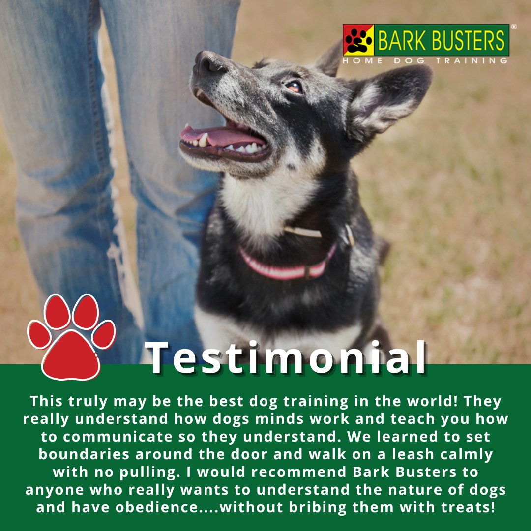 barkbusterla's tweet image. Struggling with barking, leash pulling or unwanted behavior? It’s time to bring calm into your home.
With Bark Busters, Their proven, natural training method helps you communicate clearly with your dog, fast.

barkbusters.com/dog-training-g…

#BarkBusters #DogTrainingLA #DogTrainingTips