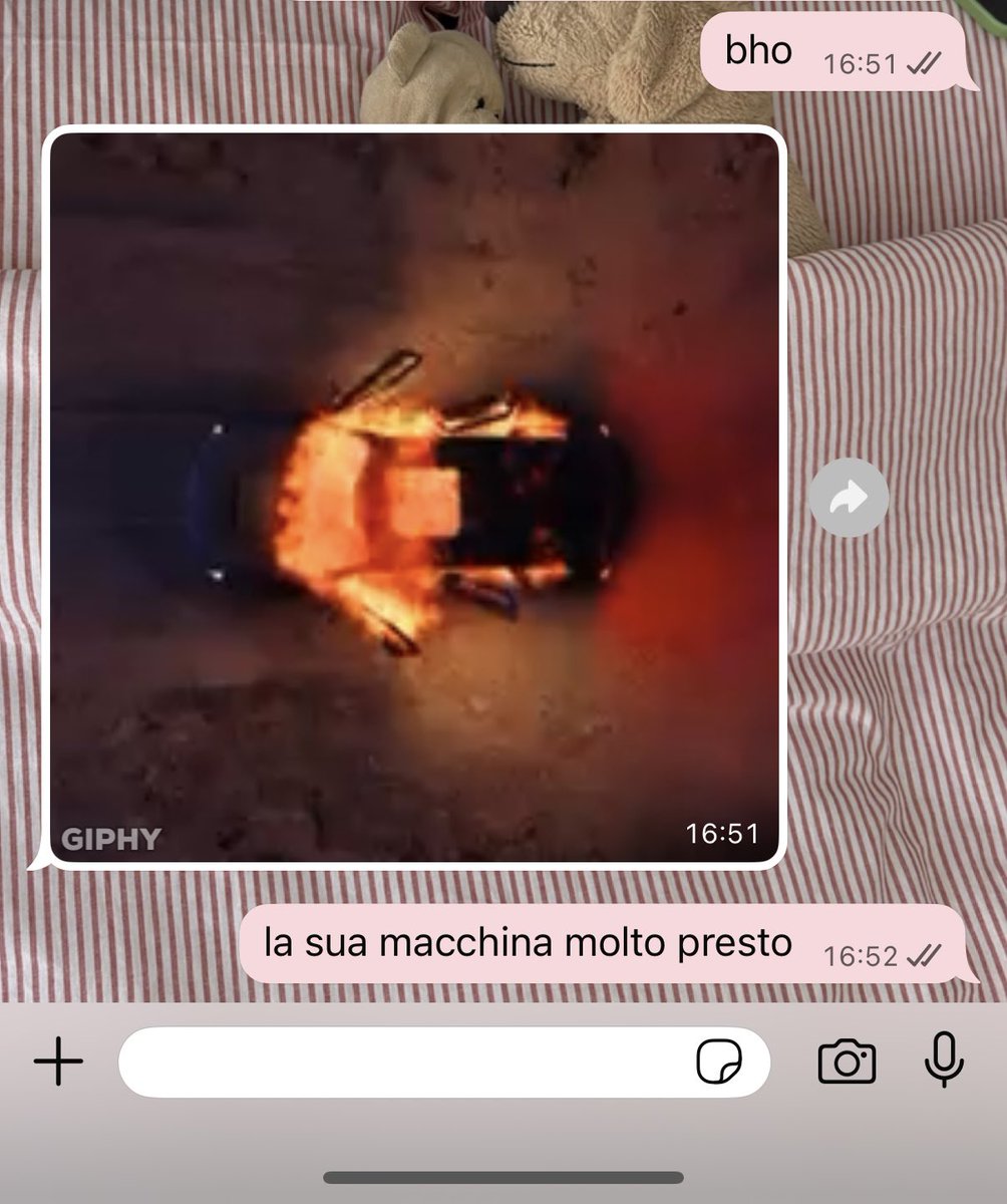 caro⸆⸉ 🌷 ◡̈ ᵎ tweet media