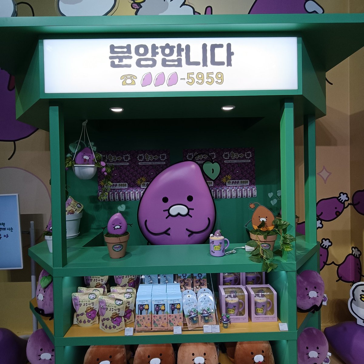 카나@히로시마사람 tweet media