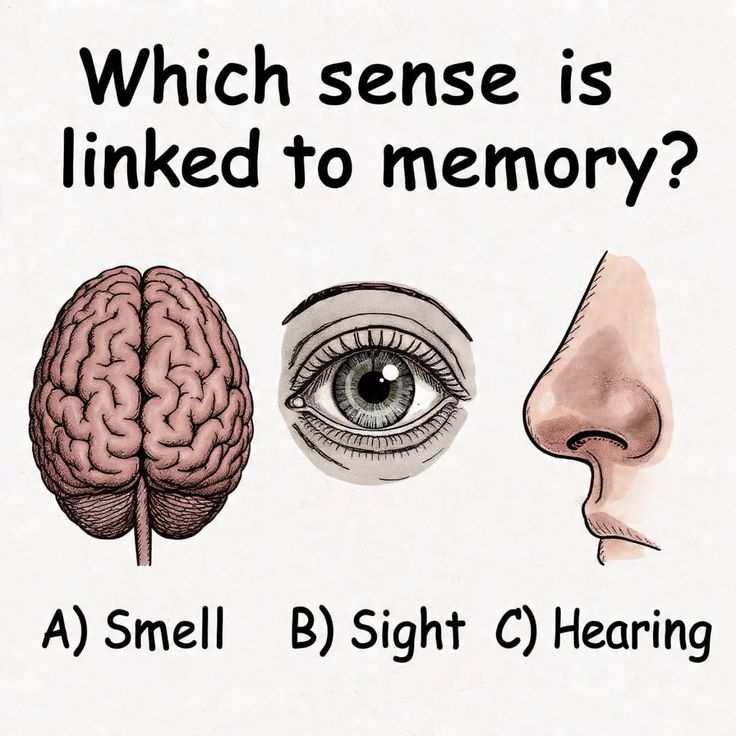 Miss Velora tweet media