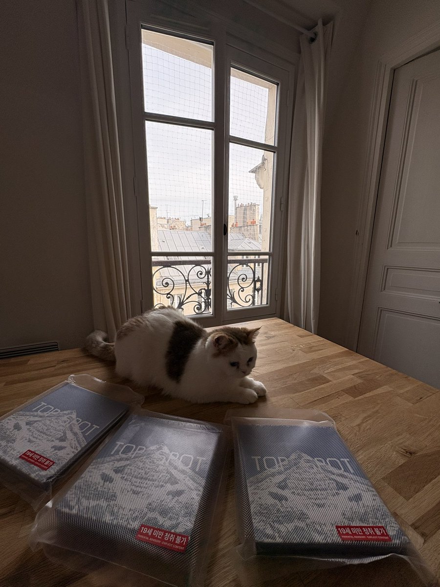 Menelottt's tweet image. My cat says this album it a 100000/10 ❤️
I trust him! He has good taste 🙂‍↕️
These are so beautiful, I don’t even want to open them 😭