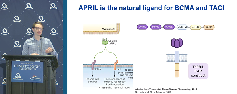 DAVA Oncology tweet media