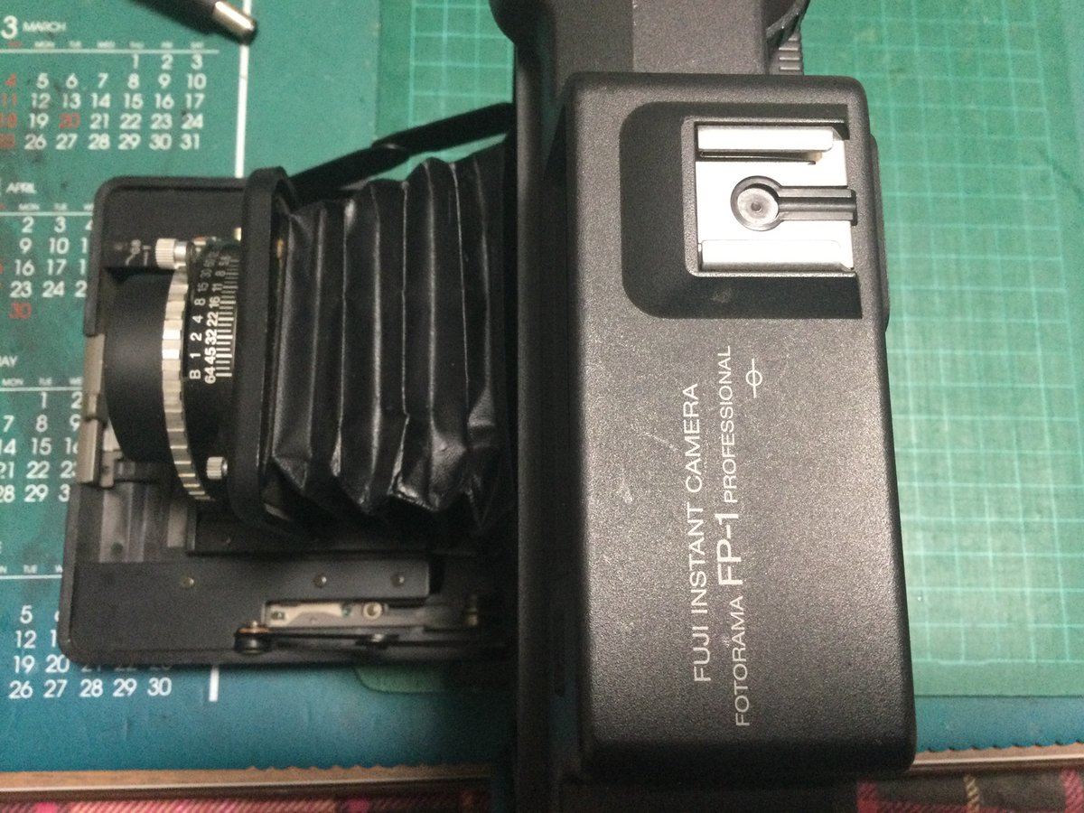 うつのみ~にゃ tweet media