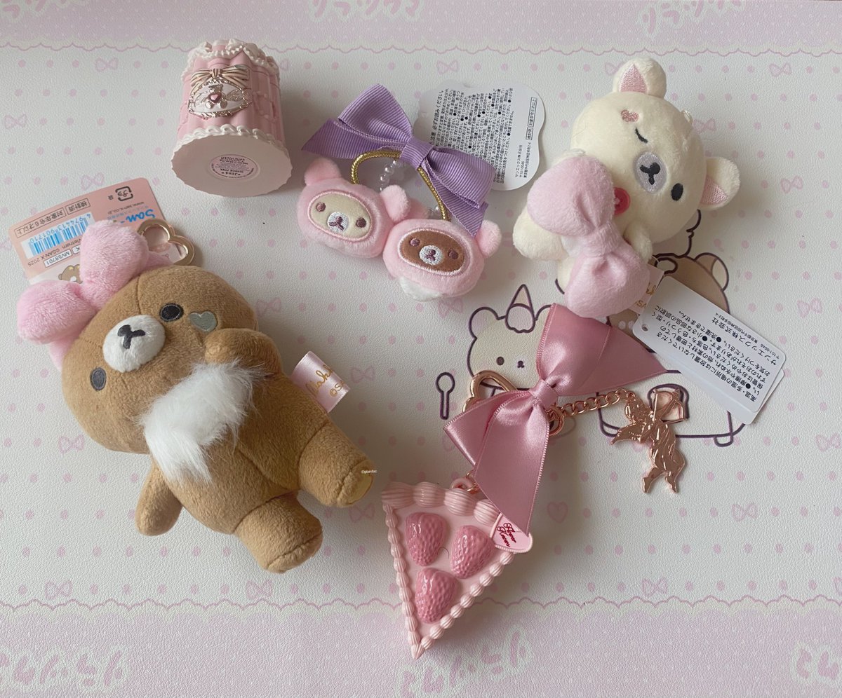 クマ 猫 tweet media