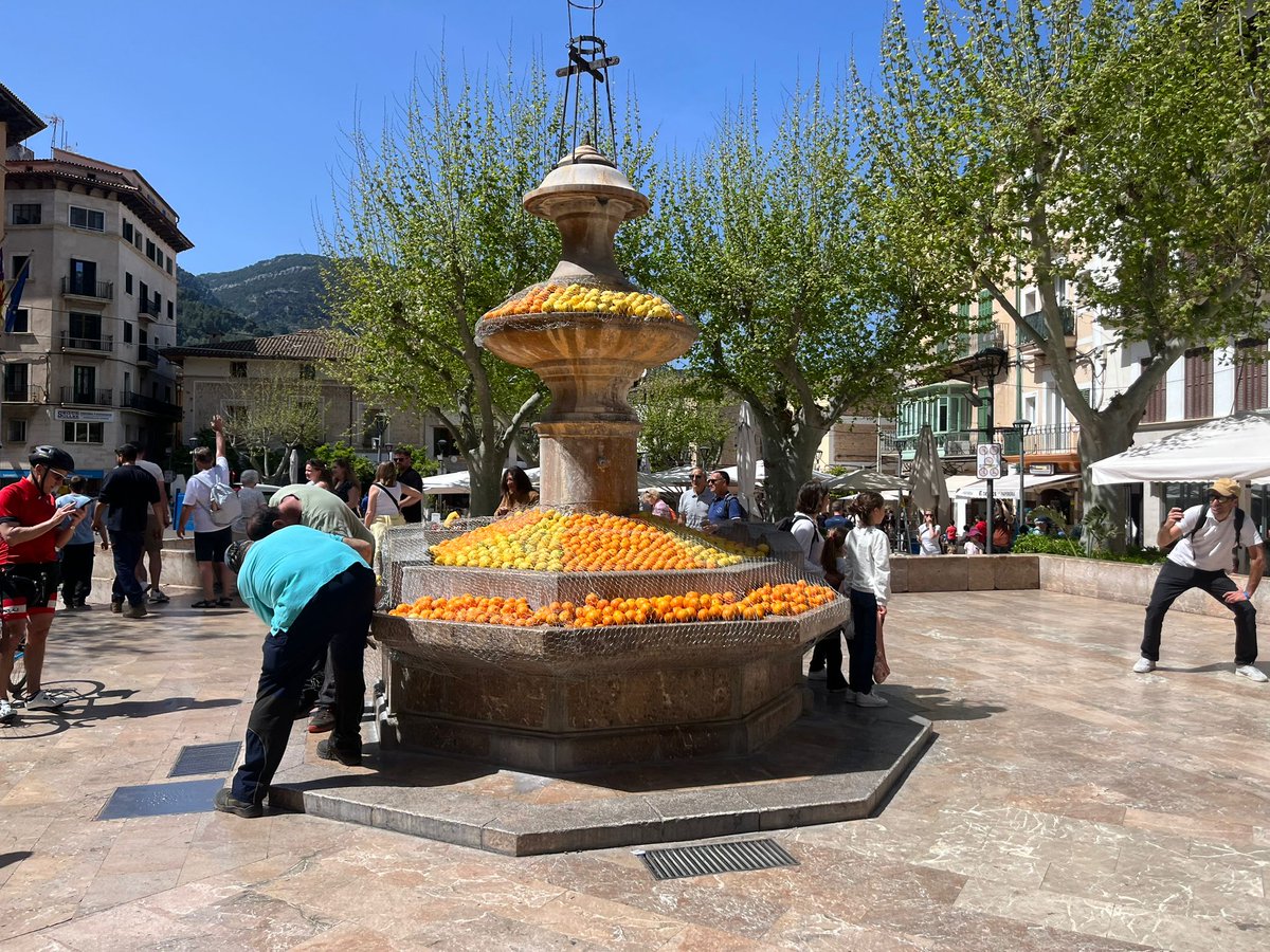 Setmanari Sóller tweet media