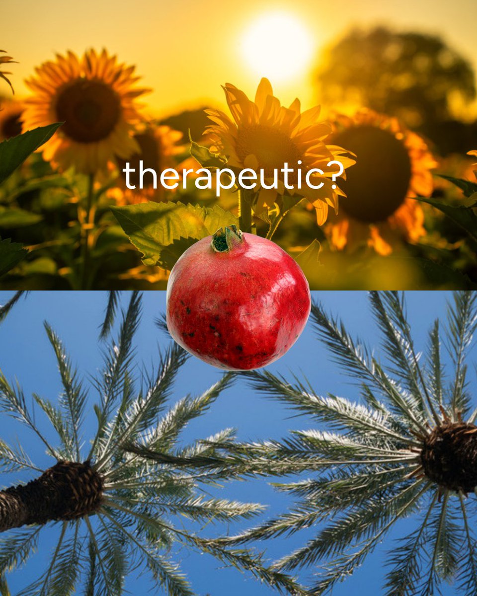 Therapy Directory | Discover Holistic Therapies tweet media