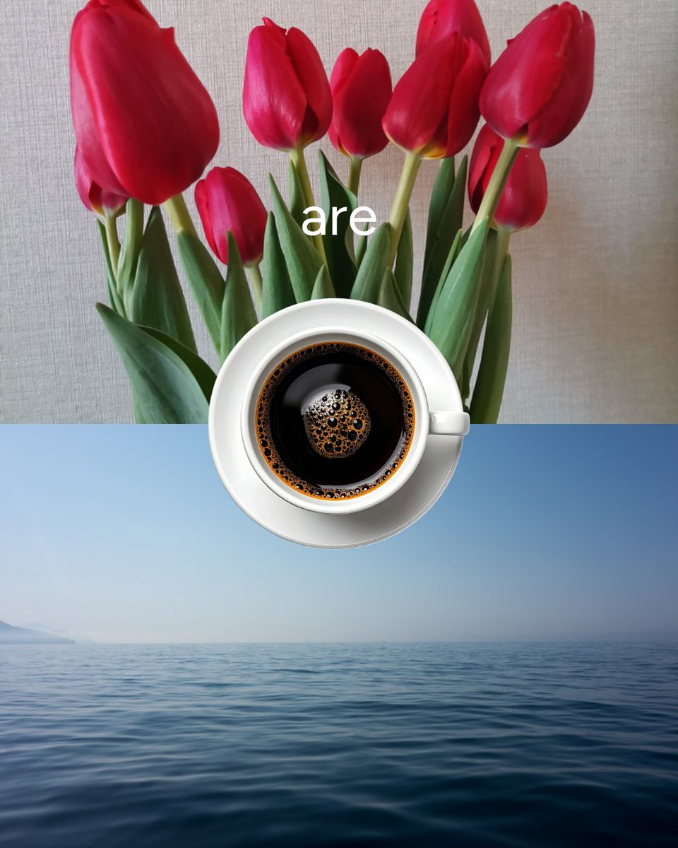 Therapy Directory | Discover Holistic Therapies tweet media