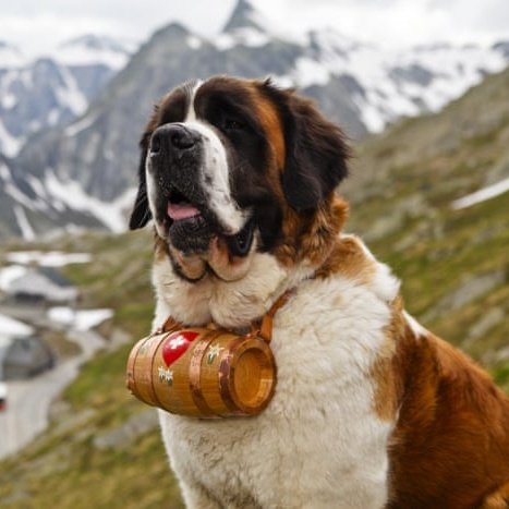 Trad West tweet media