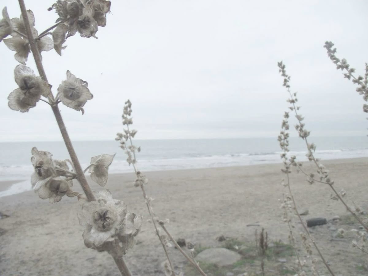 Birthday Girl, tweet media