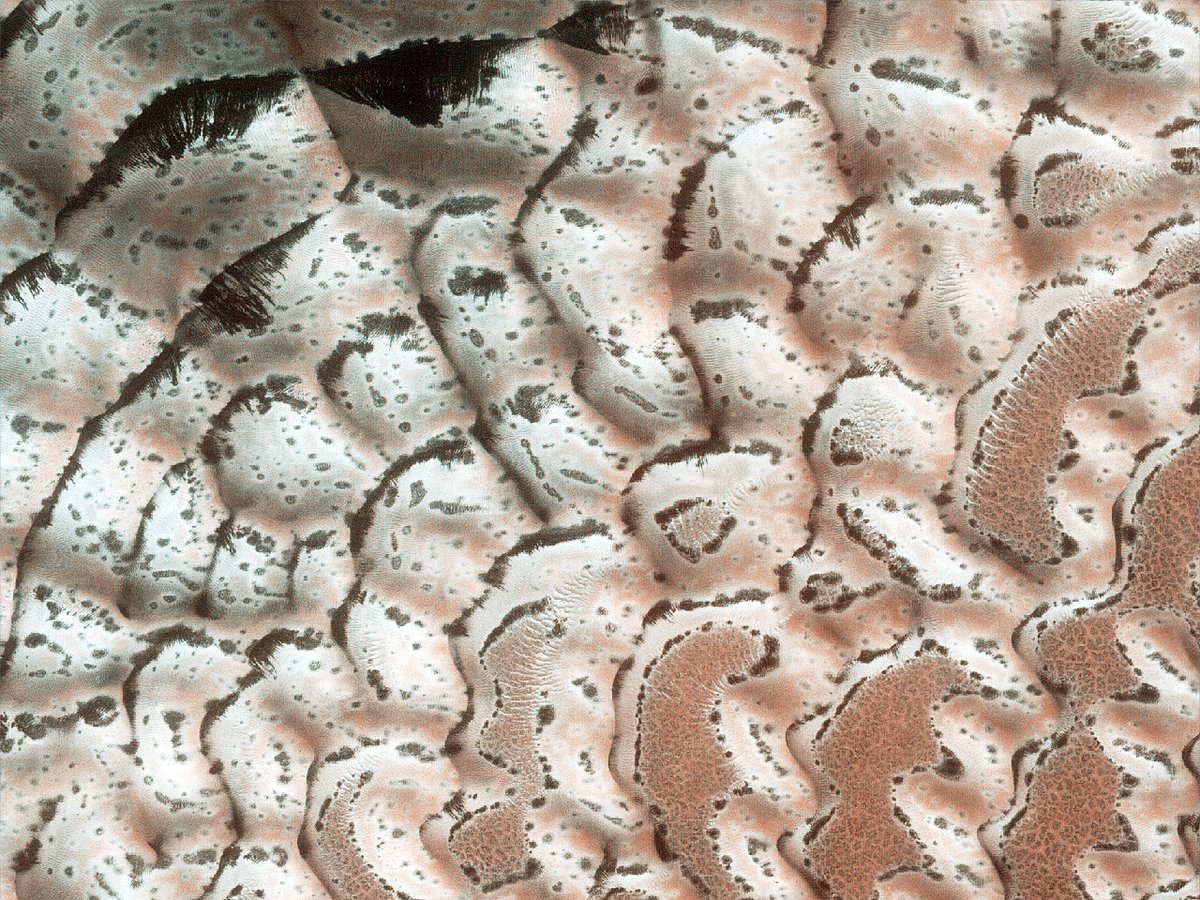 HiRISE's tweet image. HiPOD: The Jewel in the Crater

This observation was requested to monitor frost deposition, evolution, and sublimation activity of this beautiful dune field at the bottom of an impact crater. 

uahirise.org/hipod/ESP_0768…
NASA/JPL-Caltech/University of Arizona
#Mars #science #NASA