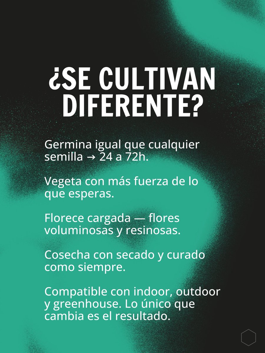 Grow Barato | GB The Green Brand tweet media