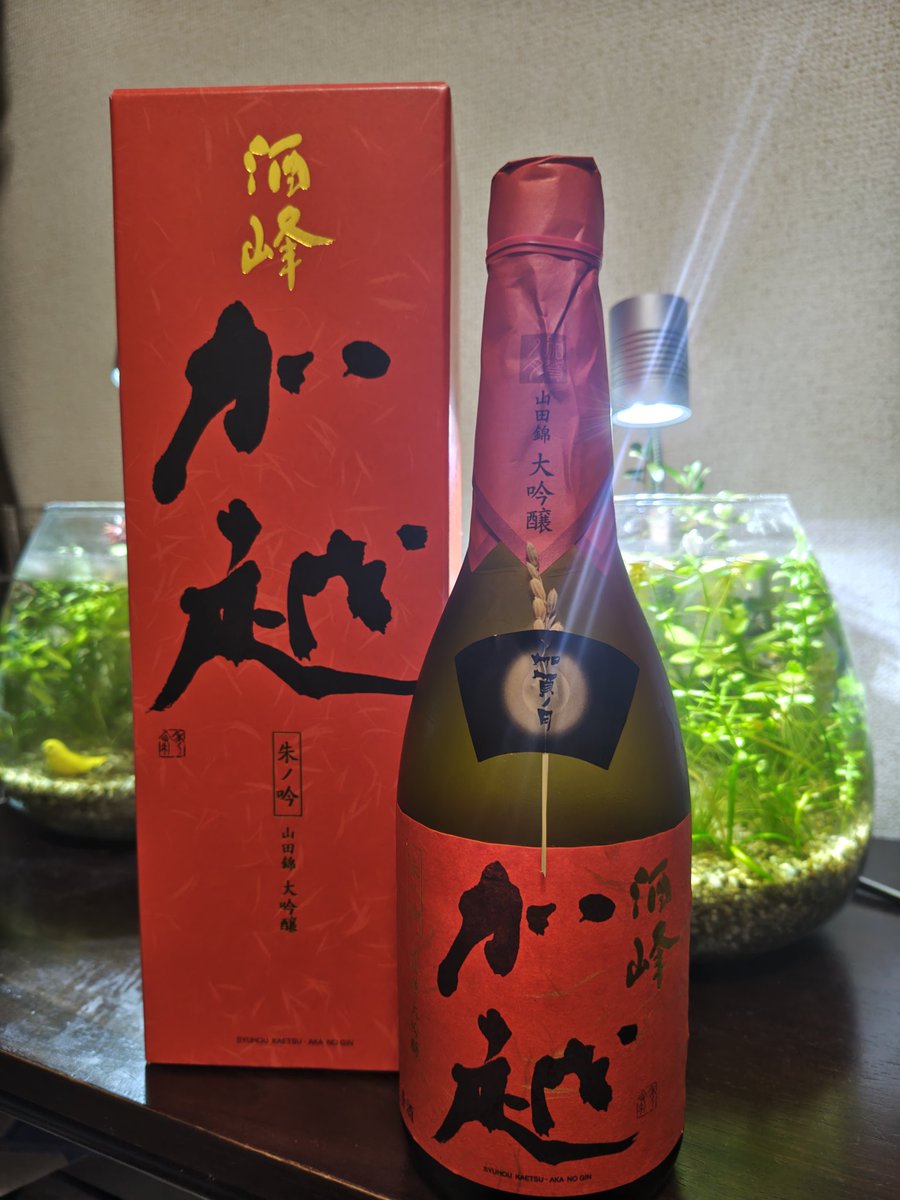 いけじゅん tweet media