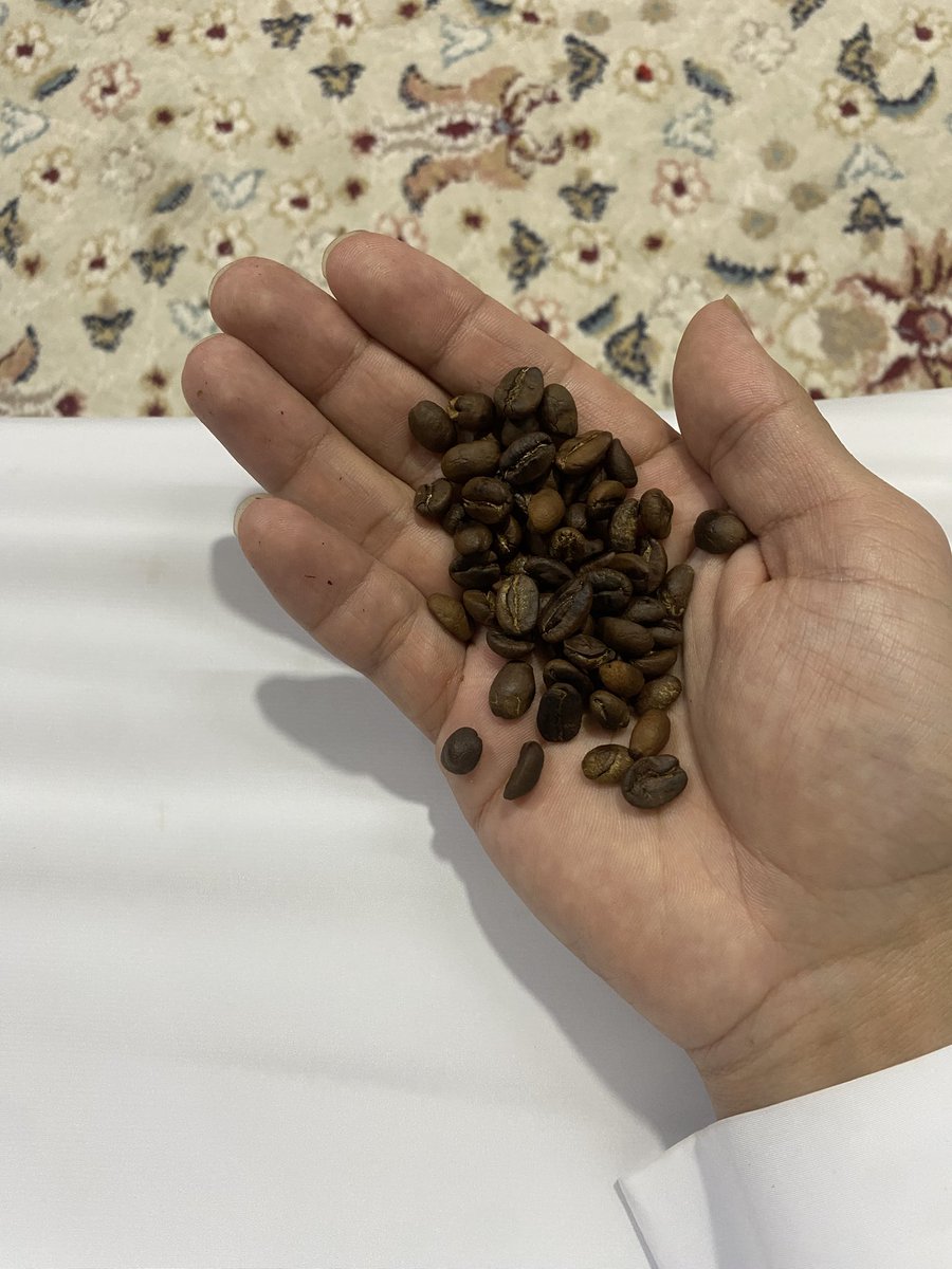 عبدالعزيز-Abdulaziz tweet media