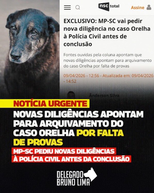 🚨🚨 Arquivamento Caso Orelha!!!
Aonde esse país vai parar???