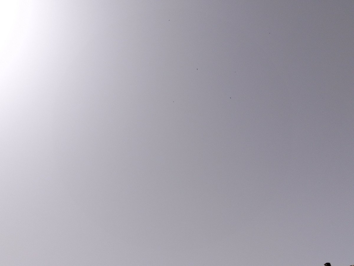 Geoingenieria Murcia tweet media