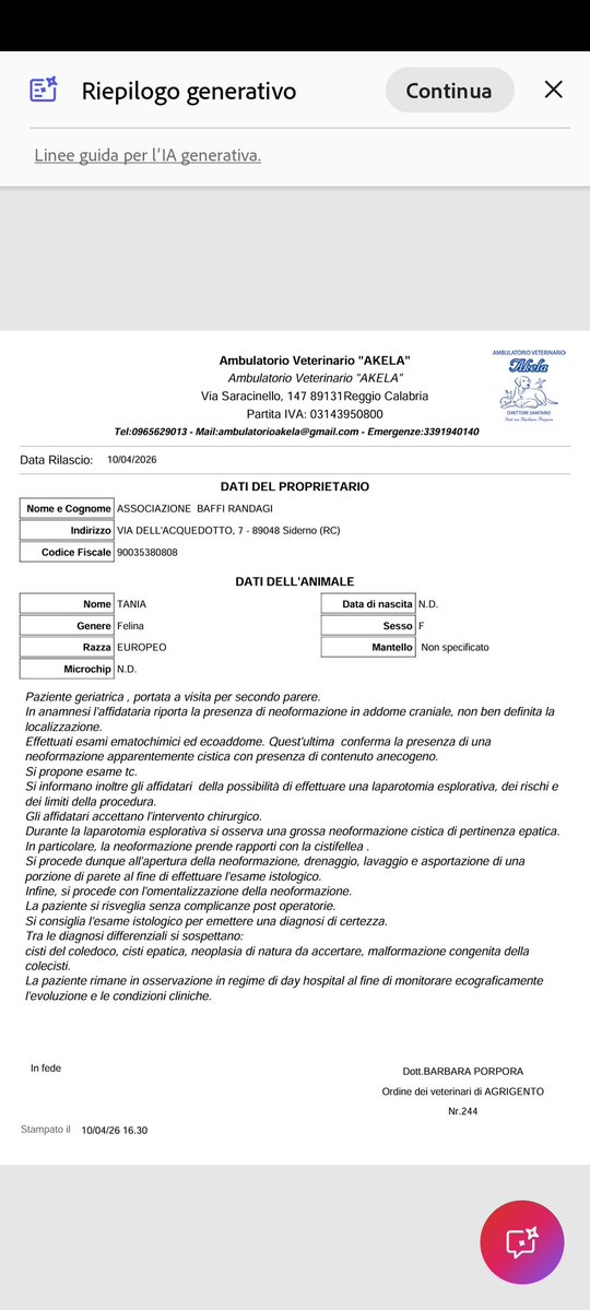 Baffi Randagi tweet media