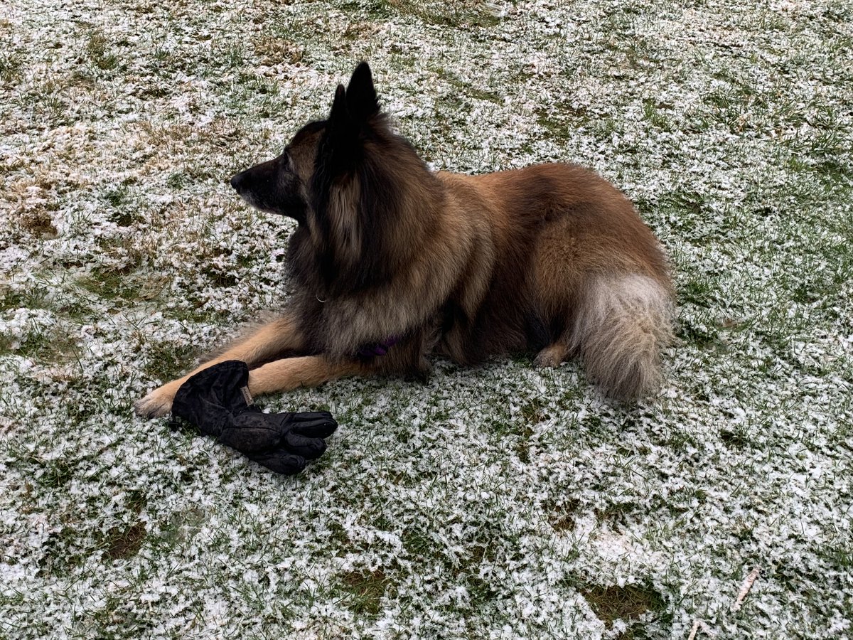 Eyes on Birds! tweet media