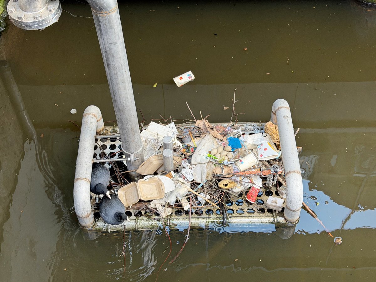 Henk Stroomenbergh tweet media