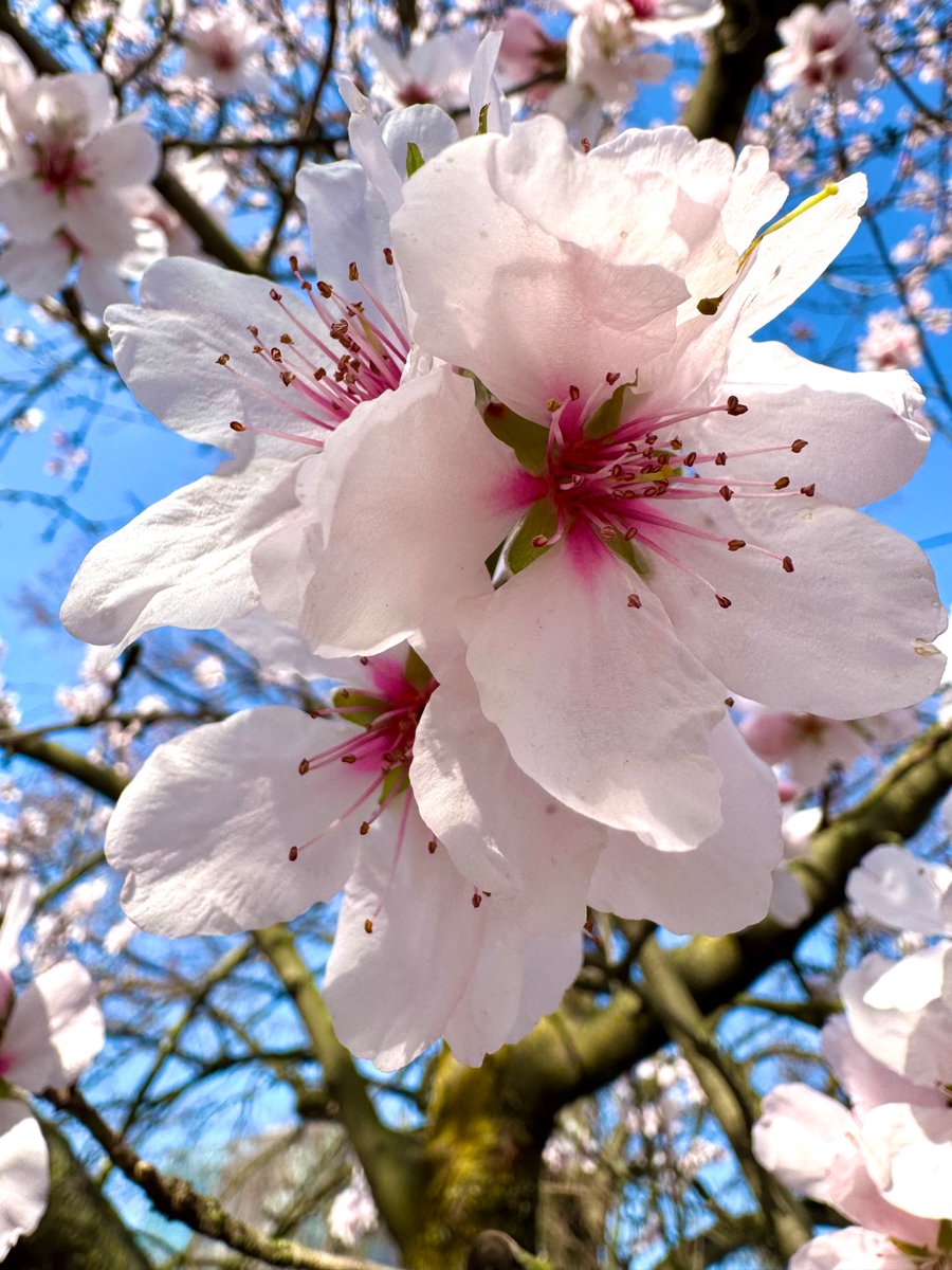 Jacques-Yves Cousteau tweet media