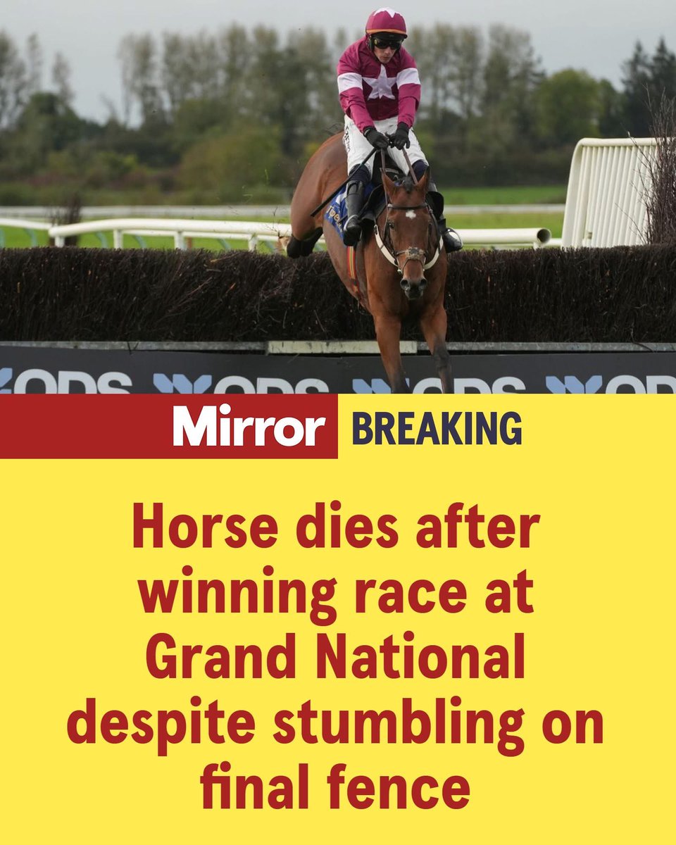 dominic dyer tweet media