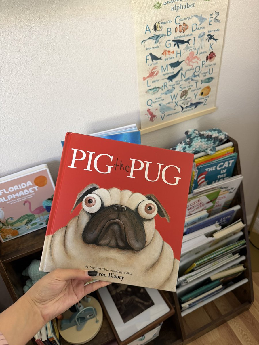 Iberian Pikachu 🇪🇸🇵🇹 tweet media