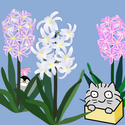 はこねこ tweet media