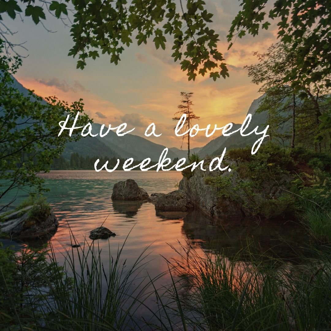 SomeWhatAli tweet media