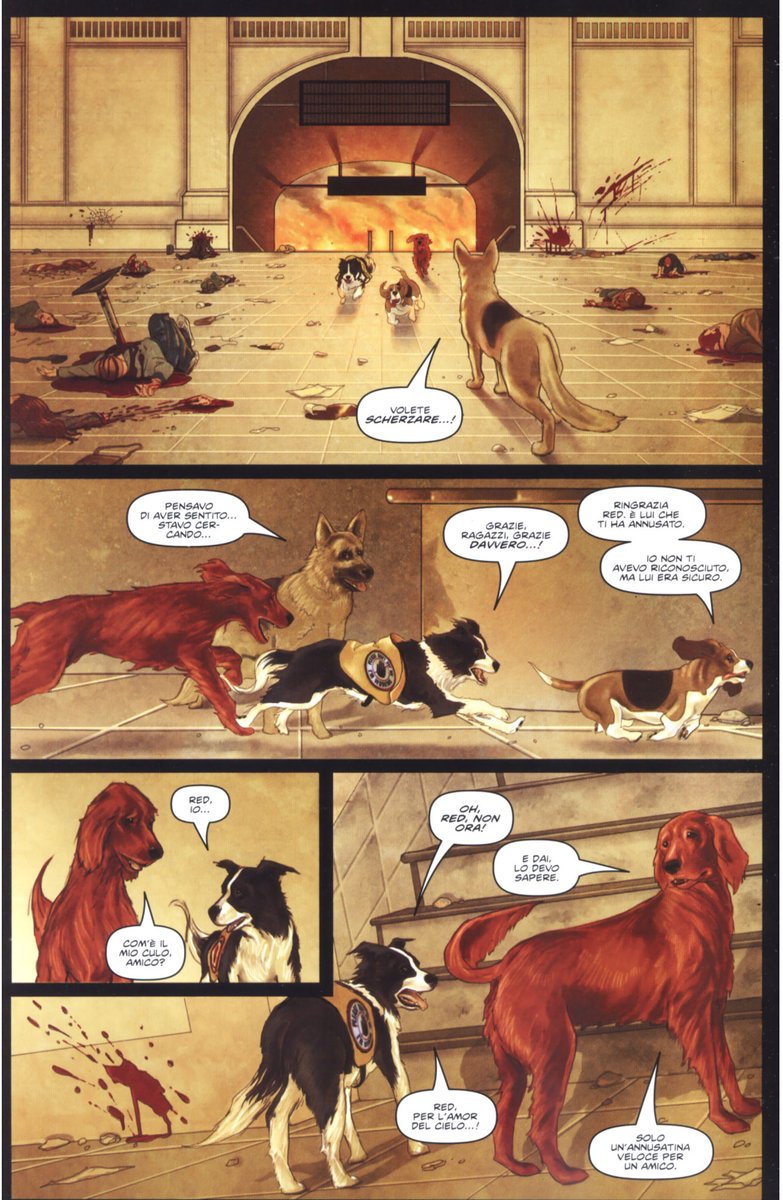 DiegoMonthy's tweet photo. #RoverRedCharlie #GarthEnnis #michealDiPascale #AvatarPress https://t.co/6zRKGfiJyF
