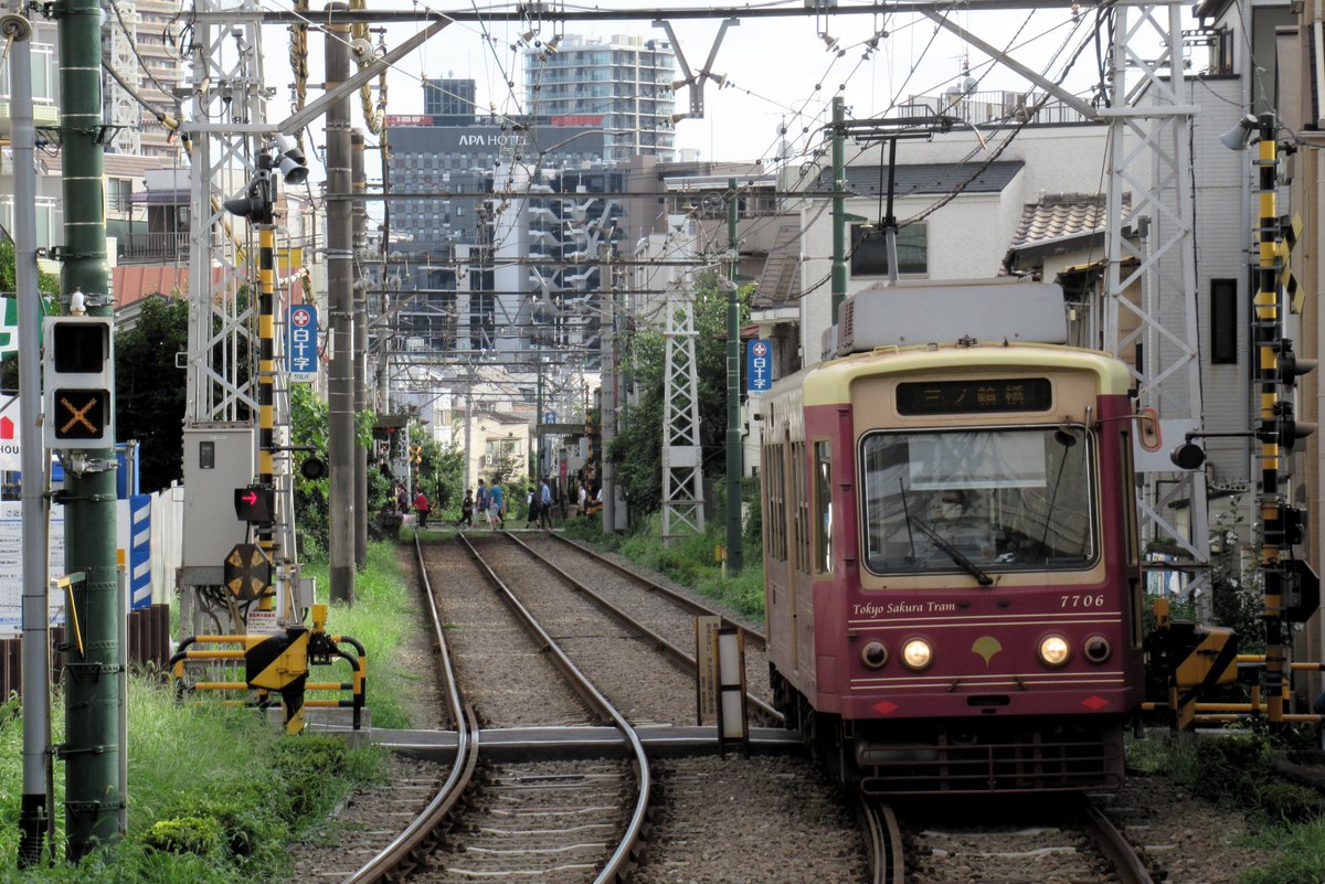 腐っても豆腐 tweet media