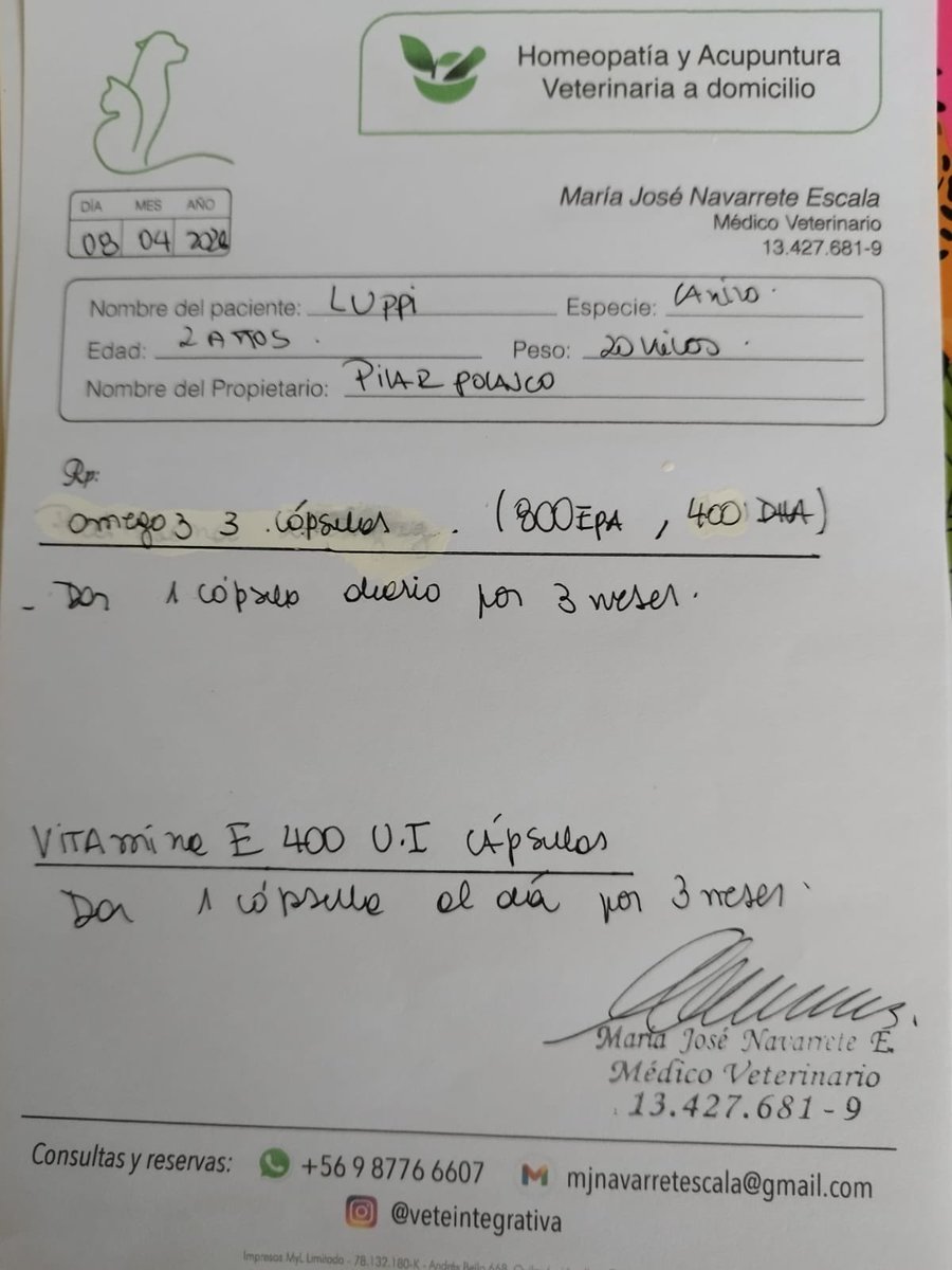 Blanquita Montt tweet media