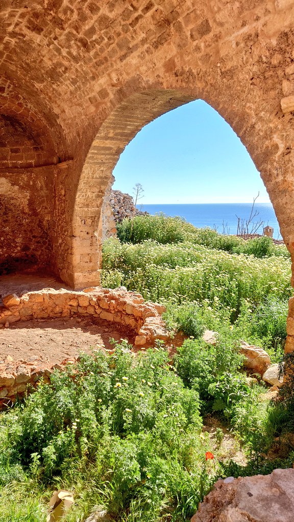 ふたば tweet media