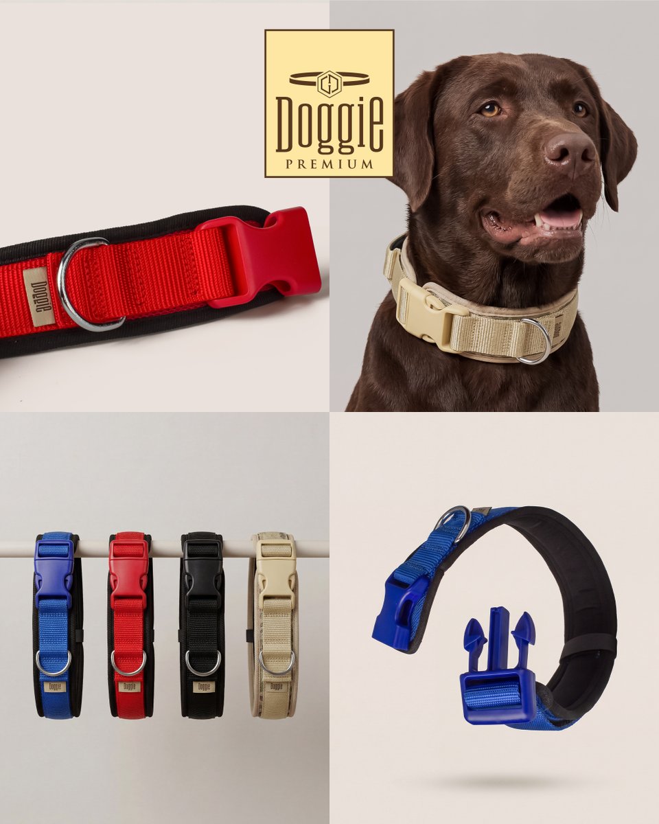 Doggie_tr's tweet photo. Doggie Yumuşak Dolgulu Köpek Tasması; ayarlanabilir yapısı, hava alan dokusu ve konforu ile gün boyu rahatlık sunar. 🐶

Doggie Soft Padded Dog Collar offers all-day comfort with its adjustable design, breathable structure, and soft padding.

#Doggie #Dostlarımızİçin  #DogLeash https://t.co/c5vymvLLhS