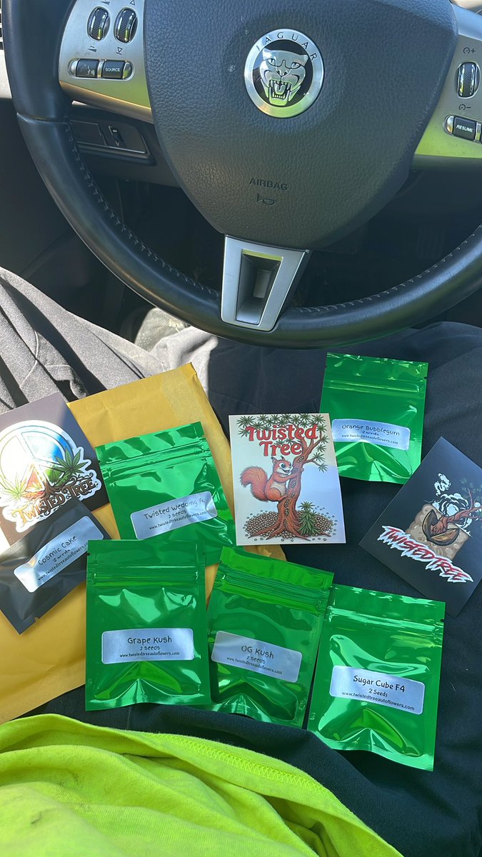What a beautiful thing to come home to! My <a href="/Twistedtreeauto/">Twisted Tree Autoflowers</a> packs came in right on time! Thank you for the freebie! Cosmic Cake sounds sooo good! I’m restocking up my beans since I’m basically out! Who beans are you buying this week?  👀🔥💚 #cannabiscommunity #cannafam